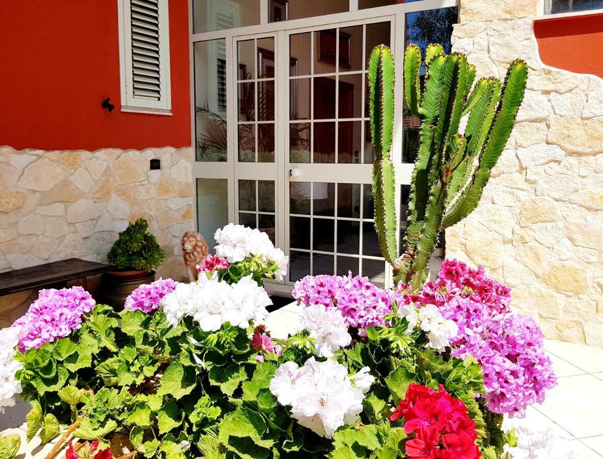 B&B Welcome Pedara Dış mekan fotoğraf