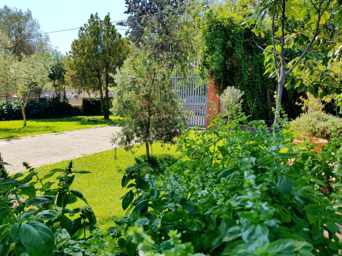 B&B Welcome Pedara Dış mekan fotoğraf
