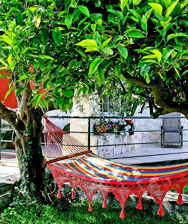 B&B Welcome Pedara Dış mekan fotoğraf